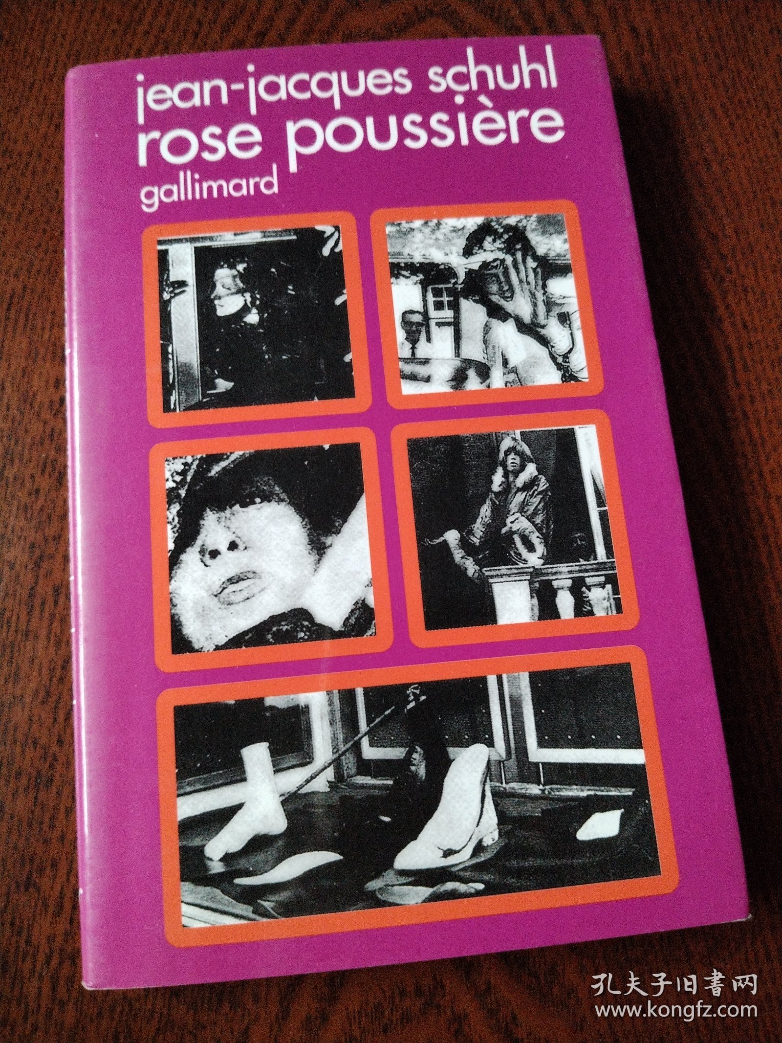 jean-jacques schuhl gallimard rose poussière