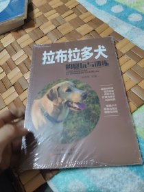 拉布拉多犬的赏玩与训练