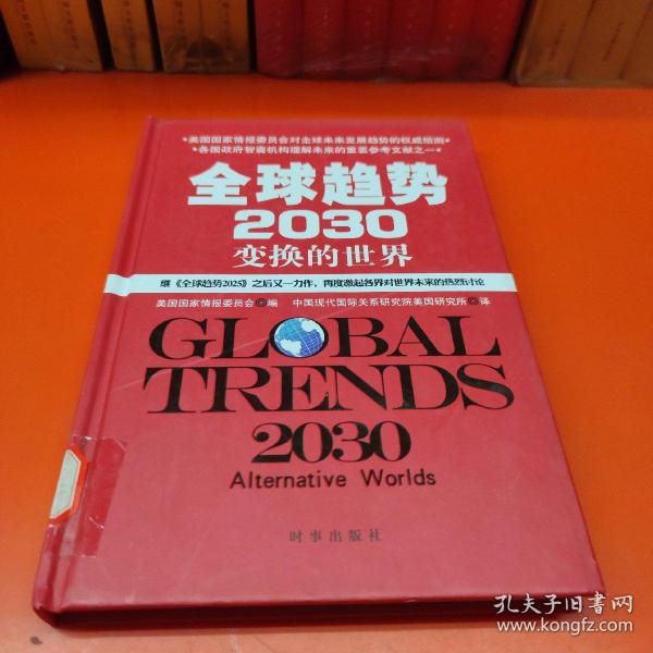 全球趋势2030：变幻的世界（精装）