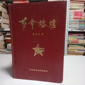 革命熔炉