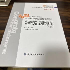 注会会计职称2019教材辅导东奥2019年轻松过关一《2019年注册会计师考试应试指导及全真模拟测试》公司战略与风险管理（下册）