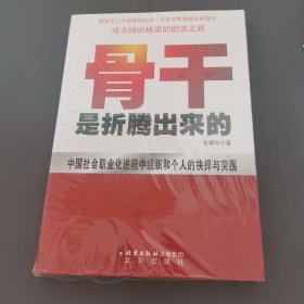 中国本土红色管理书系：骨干是折腾出来的