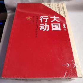 大国行动：中国海军也门撤侨纪实/强军进行时报告文学丛书