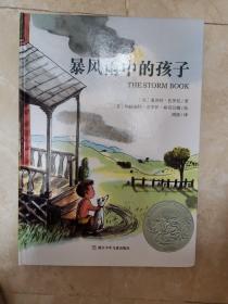 暴风雨中的孩子：美国凯迪克银奖作品