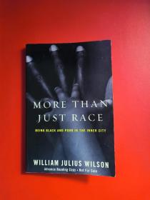 More than Just Race: Being Black and Poor in the Inner City —— 威廉·朱利叶斯·威尔逊（William Julius Wilsom）美国当代着名的黑人社会学家【英文原版】