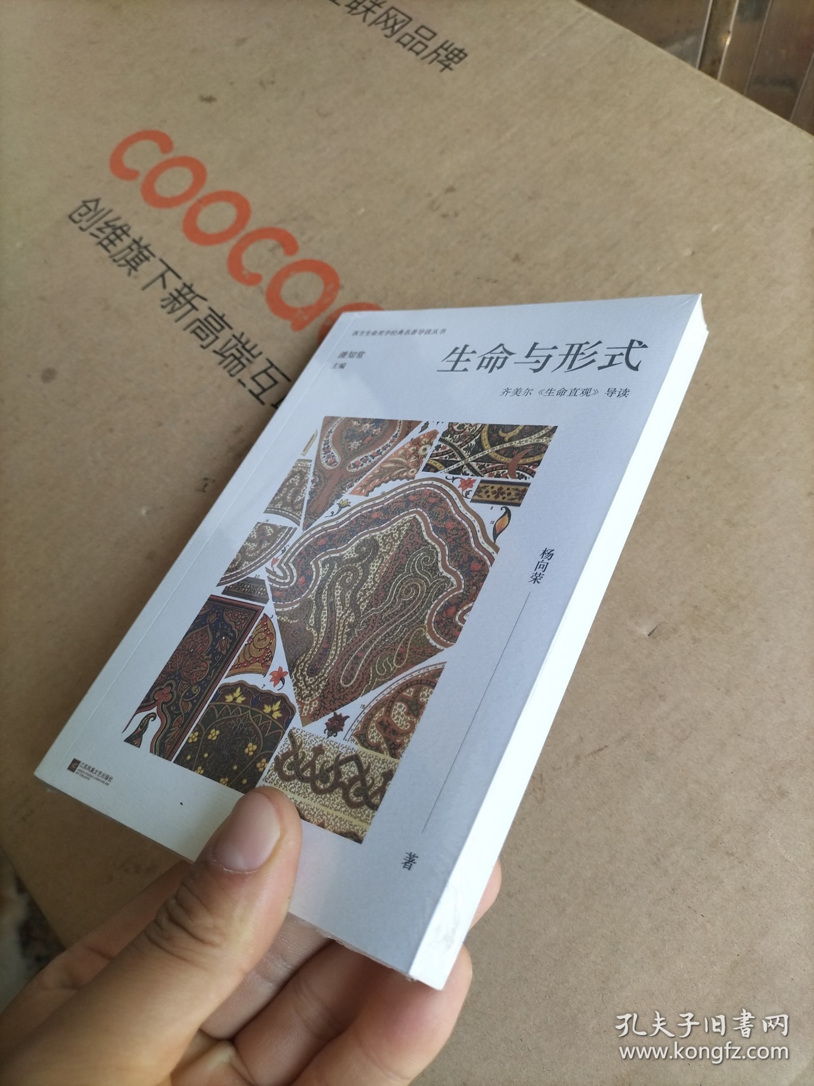 生命与形式：齐美尔《生命直观》导读