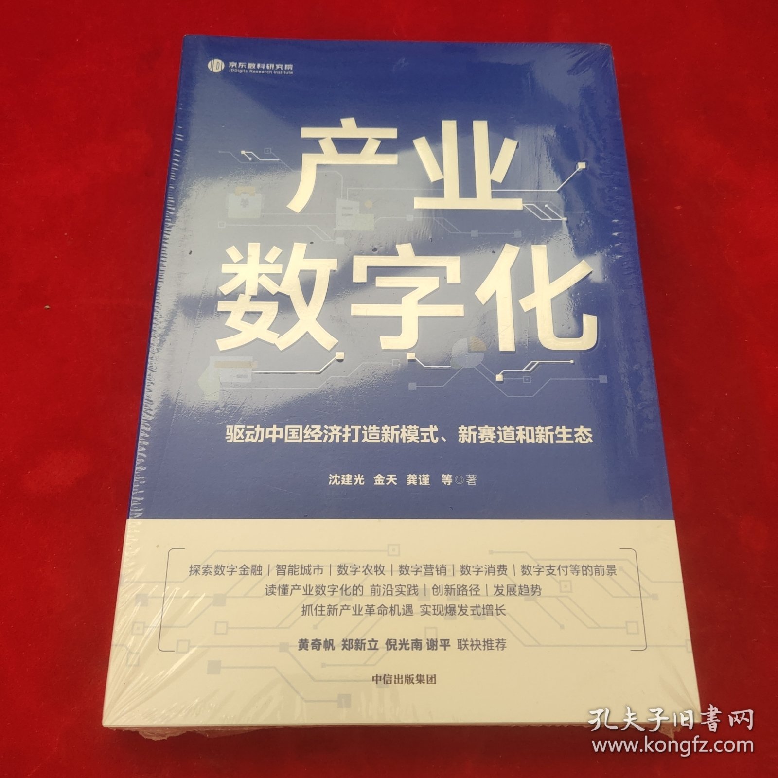 产业数字化驱动中国经济打造新模式新赛道和新生态沈建光金天龚谨杨芳冯永昌著