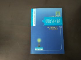 可见的与不可见的：当代法国思想文化译丛