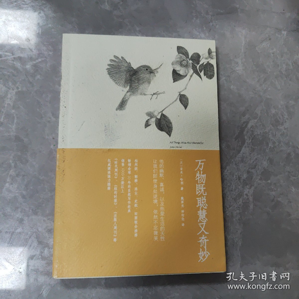 万物既聪慧又奇妙