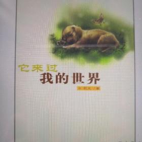 它来过我的世界