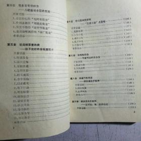 中国税务大透视:长篇报告文学