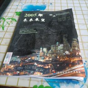 2005年未来展望