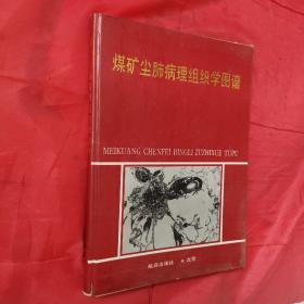 煤礦塵肺病理組織學圖譜（硬精裝）