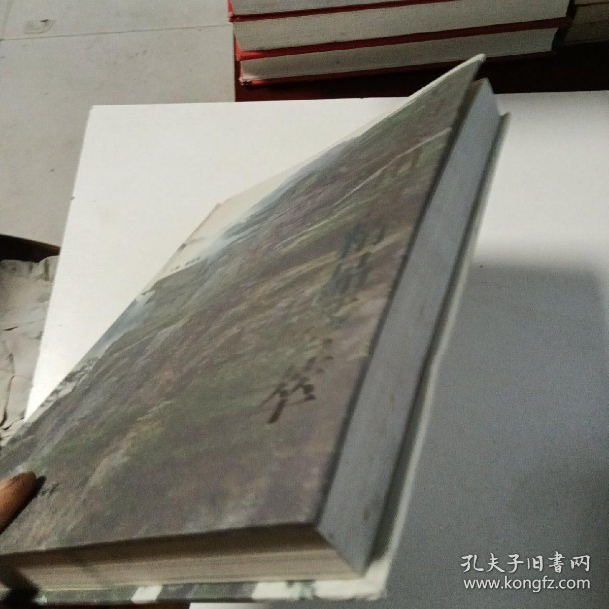 中国泰山石精品荟萃