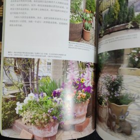 莳花弄草——家庭庭院的植物选择与搭配