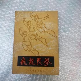 飞龙长拳