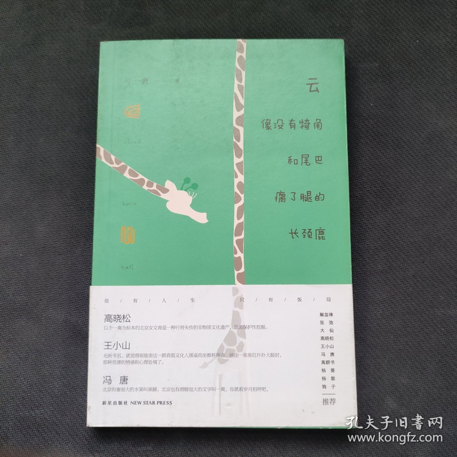 云像没有犄角和尾巴瘸了腿的长颈鹿（高晓松、杨葵，高群书、冯唐、王小山等推荐）于一爽签名本
