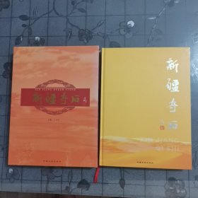 新疆奇石（带函套）