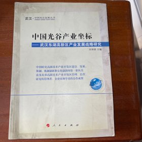 中国光谷产业坐标：武汉东湖高新区产业发展战略研究