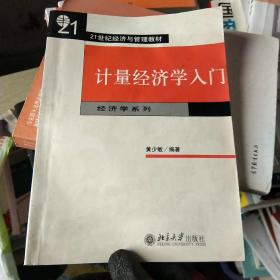 计量经济学入门