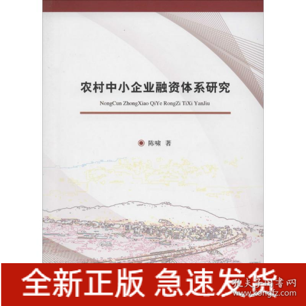 农村中小企业融资体系研究