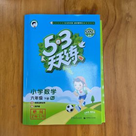 2024年春季 53天天练 小学数学 六年级下 RJ（人教版）〈样书，和普通版内容一致〉