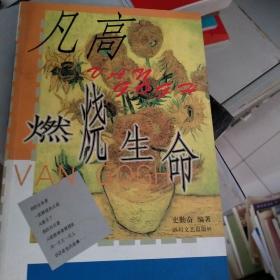 燃烧的生命--凡高