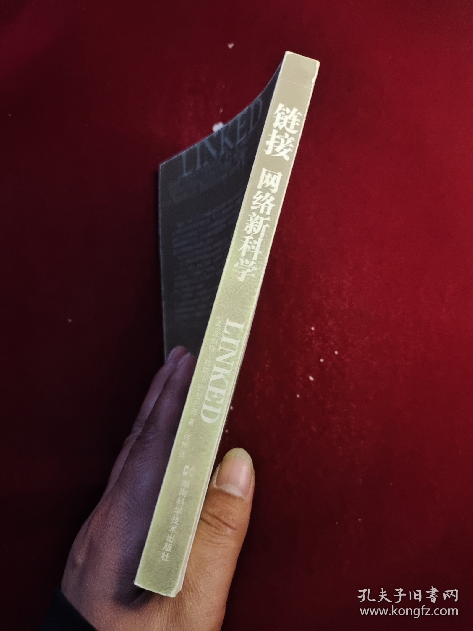 链接：网络新科学