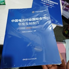 中国电力行业国际合作年度发展报告2023