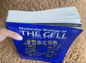 Molecular Biology of the Cell 英文原版 细胞的分子生物学 Bruce，Alberts