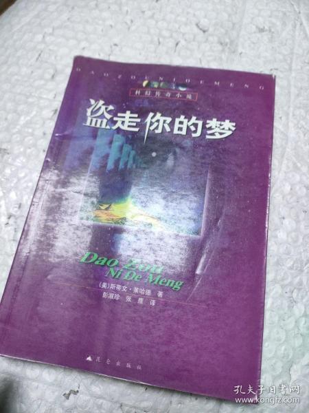 盗走你的梦:科幻传奇小说