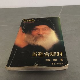 当鞋合脚时：奥修人生箴言系列