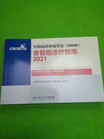 中国临床肿瘤学会（CSCO）食管癌诊疗指南2021，，。