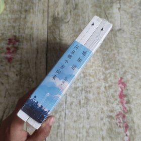 他知道风从哪个方向来 上下册 全二册