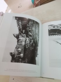 Zoe Leonard: Survey 佐伊伦纳德