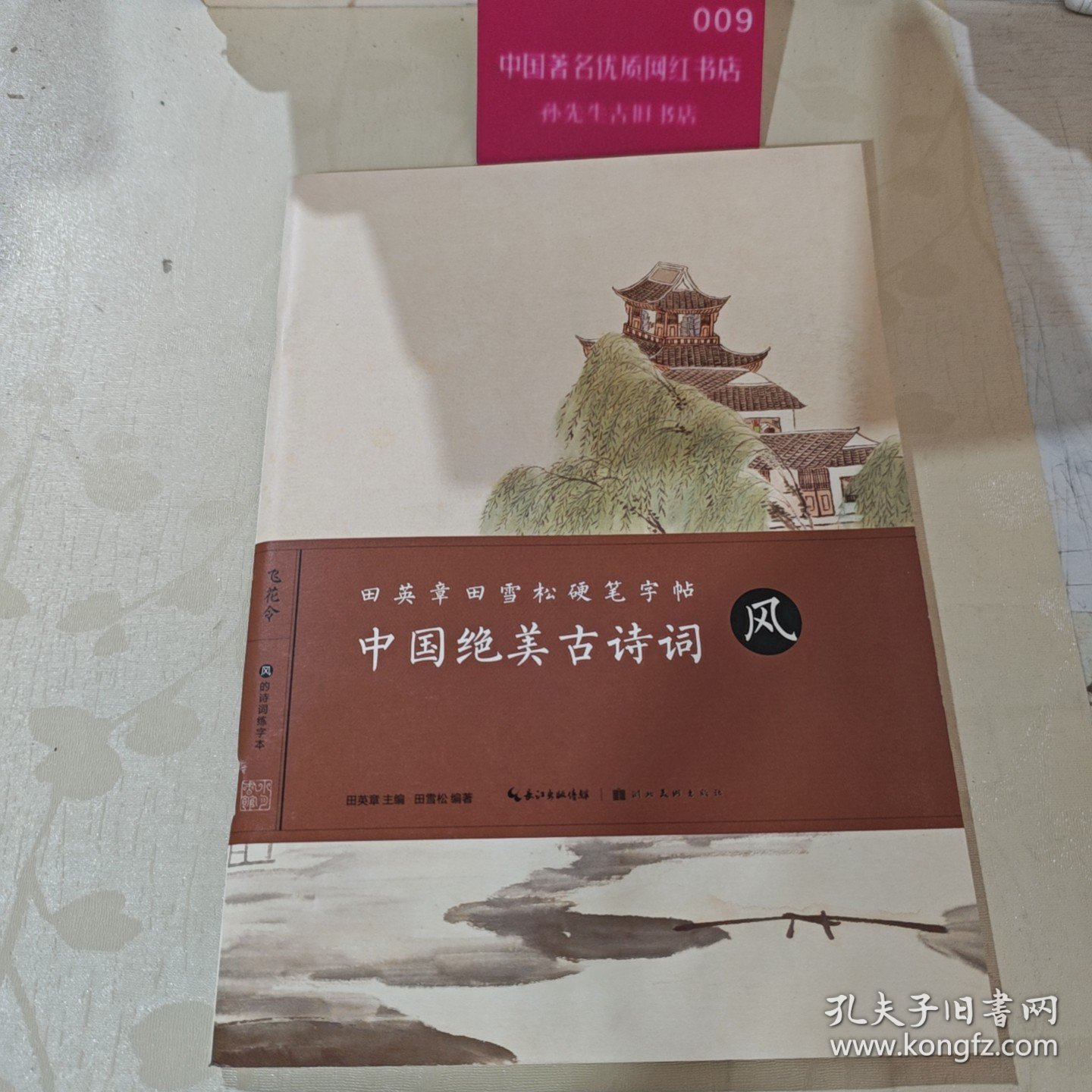 田英章田雪松硬笔字帖-中国绝美古诗词-风H41133