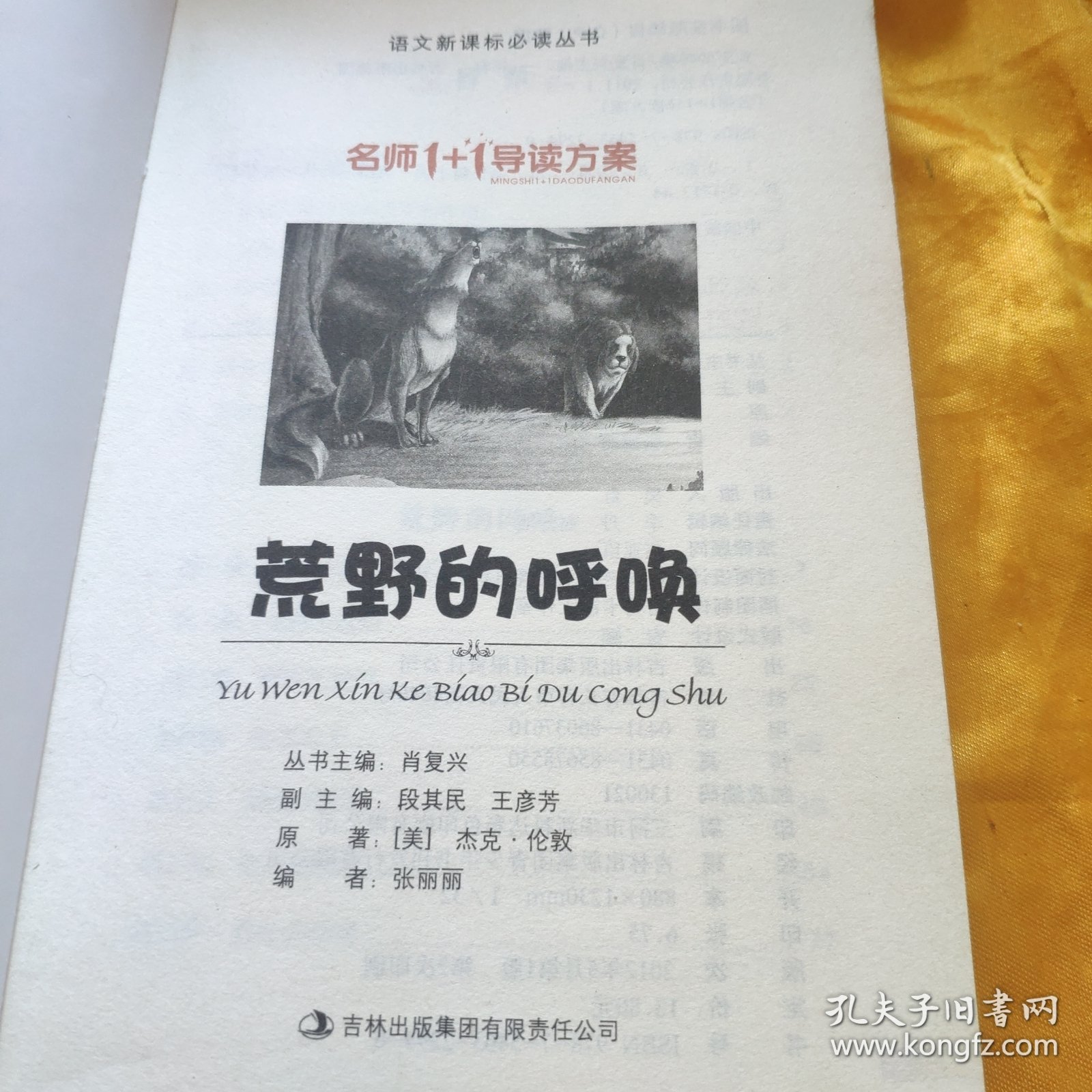 名师1+1导读方案 荒野的呼喊