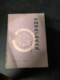 中国西北少数民族史