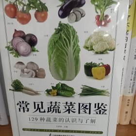 常见蔬菜图鉴