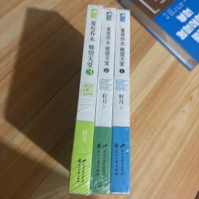 夏有乔木：雅望天堂（1、2、3册合售