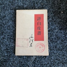 评白皮书