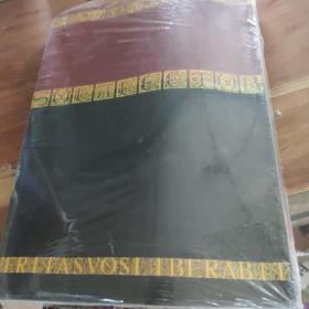 The NATURE OF THE HUMAN MINO