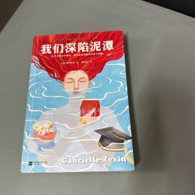 我们深陷泥潭（《岛上书店》作者加·泽文关于原生家庭的治愈之作！）（读客外国小说文库）