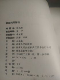 武当纯阳秘功