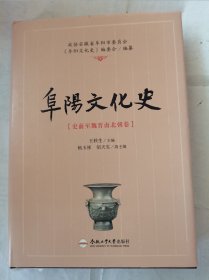 阜阳文化史