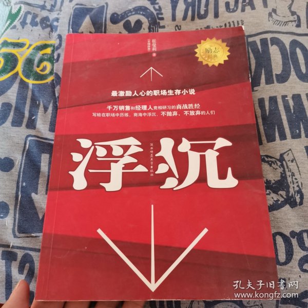 浮沉：最激励人心的职场生存小说