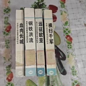 走向胜利之路：远征欧亚  横扫千军  钢铁洪流   血肉长城  （全4册）