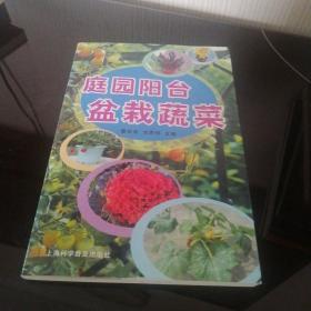 庭园阳台盆栽蔬菜