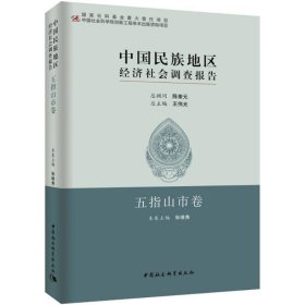 中国民族地区经济社会调查报告