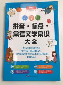 小学生拼音标点常考语文文学常识大全配套练习题训练讲练结合
